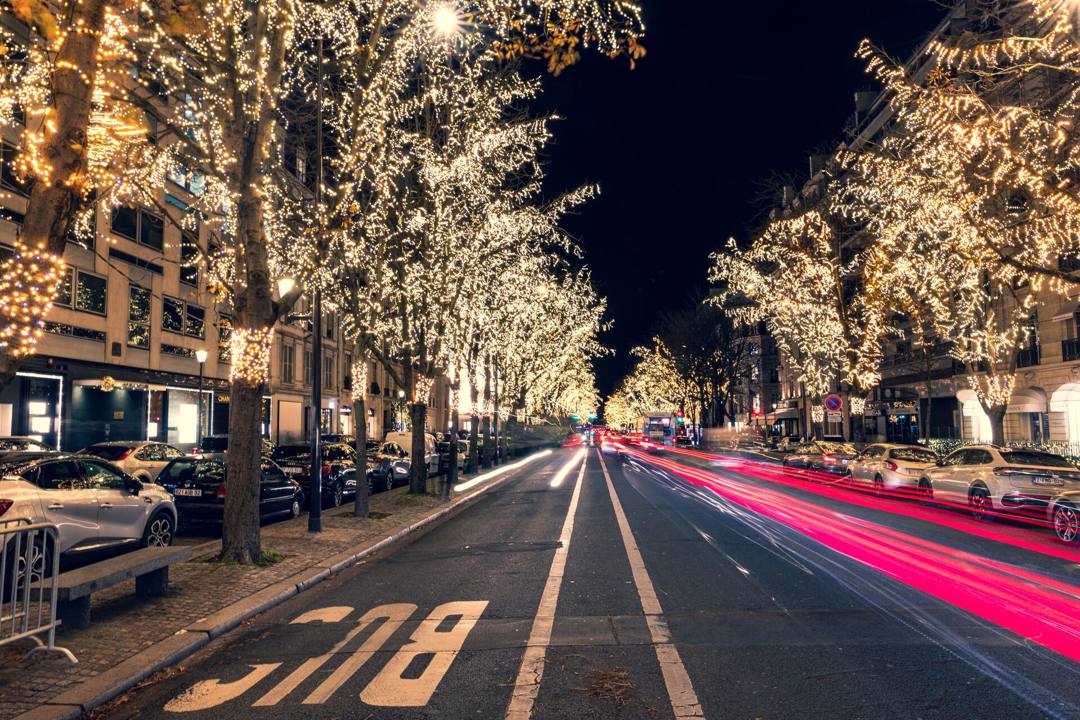 Paris avenue lined with trees lit up for the holidays at night