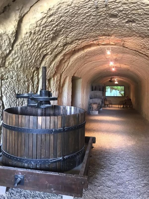 Weinberge der Champagne bei Reims
